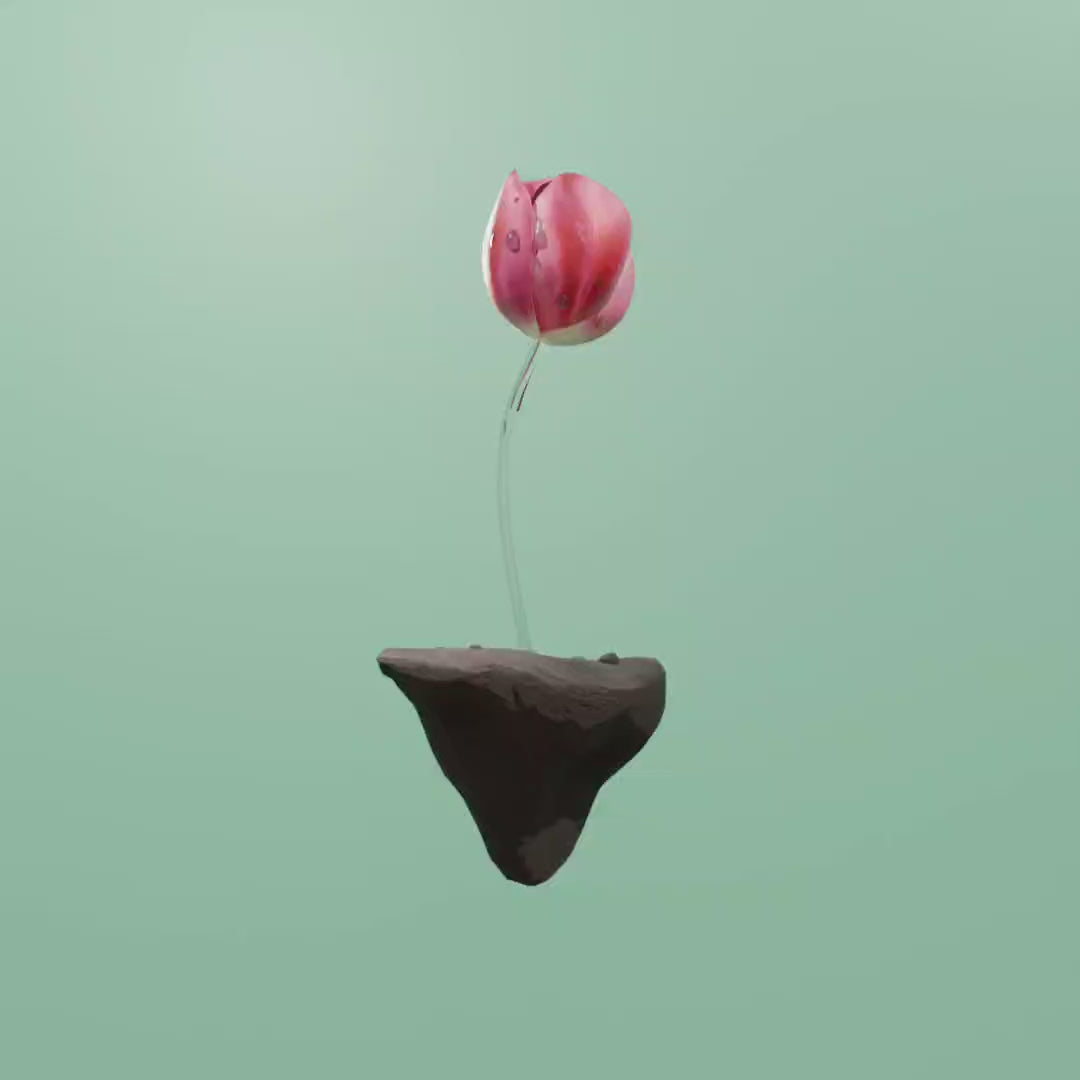 Bio Primavera Renacer